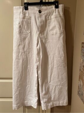 NWT Anthropologie Maeve Colette Pants